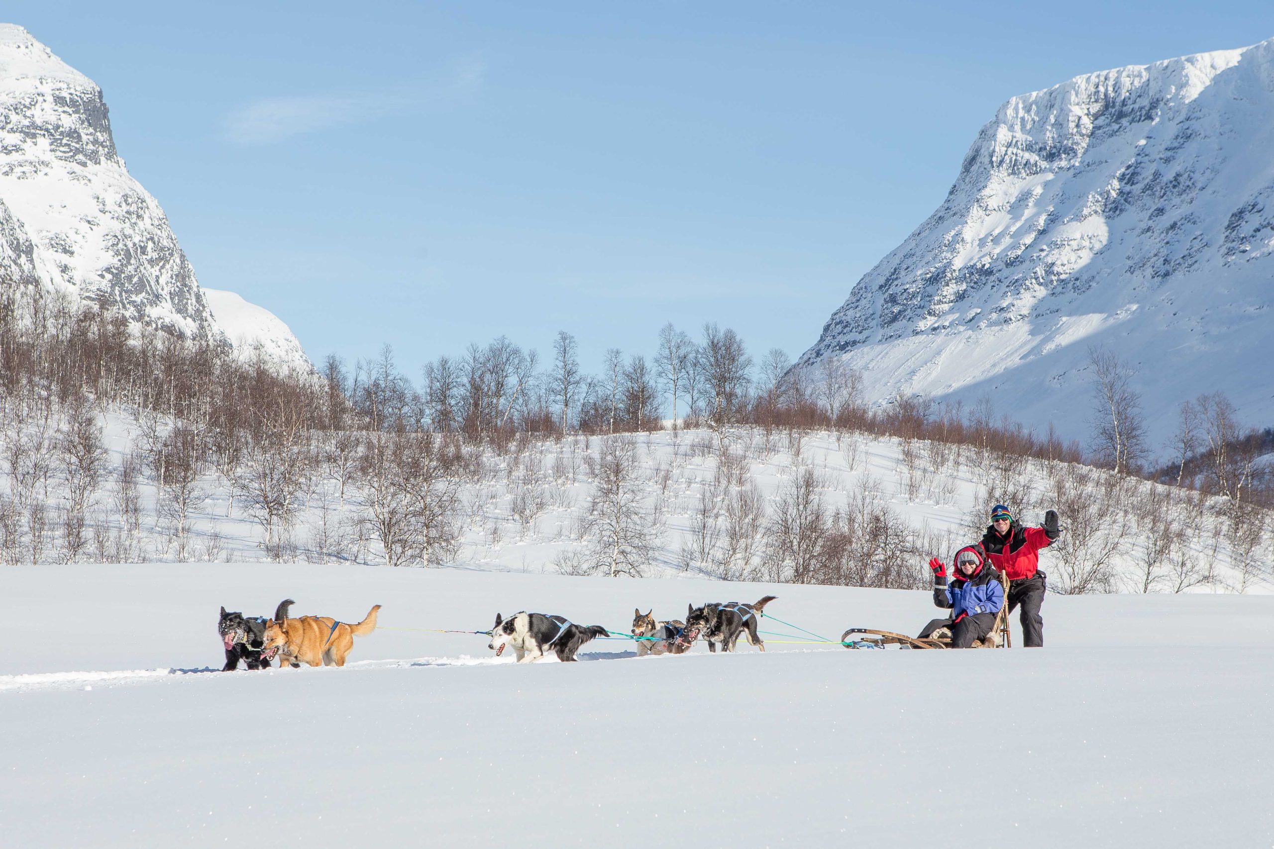 Dog Sledding Adventure | Chasing Lights